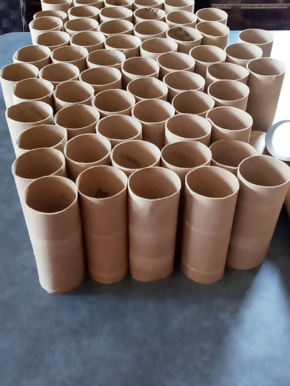 Cardboard Rolls